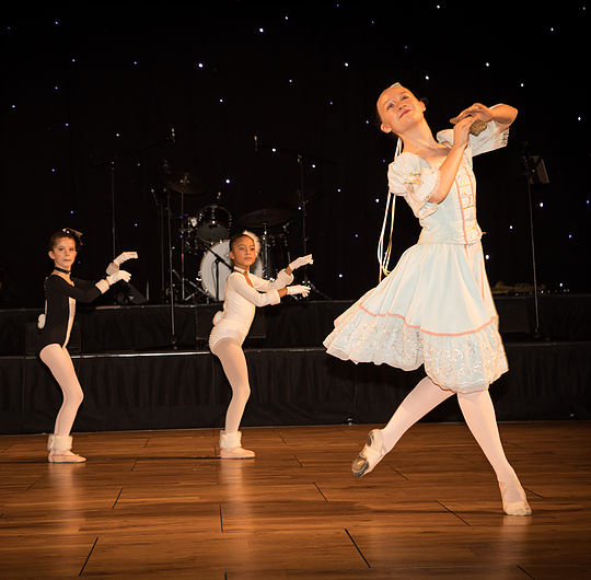 Danceworks Youth Ballet Company page